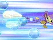 Dawn Aipom Double Hit