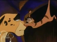 Cheetata and Timon
