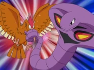 Jessie Arbok Wrap