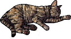 Leafstar.kittypet