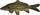 FTD CKiln-Image 265