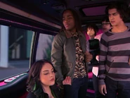 IMG 2943
