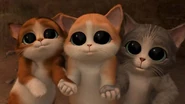 Puss-in-boots-3 Diablos-Cute