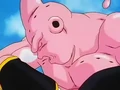Dbz248(for dbzf.ten.lt) 20120503-18184596