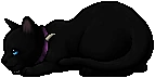 Scourge.kit
