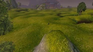 WildPlains