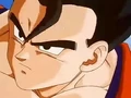 Dbz249(for dbzf.ten.lt) 20120505-12025603