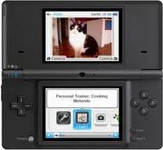 Nintendo dsi menu
