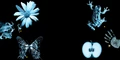 Thumbnail for version as of 23:55, May 6, 2012