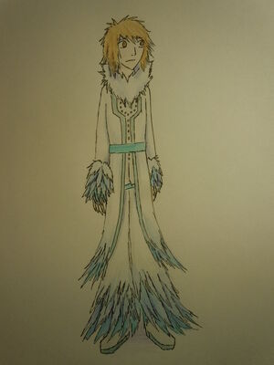 Silks outfit