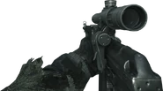 Dragunov Silencer MW3