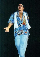 Ed Ferrara 12
