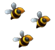 Honey bee