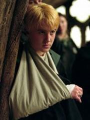 Draco lesionado