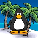 Tropical bg