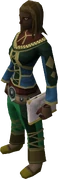 Mages' book (white) equipped