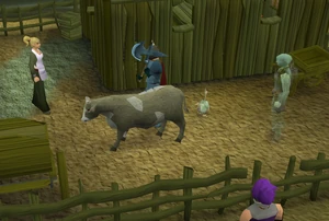 Animal Magnetism