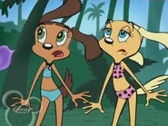 Brandy-and-Tiffany-brandy-and-mr-whiskers-26476036-320-240