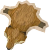 Fox pelt detail