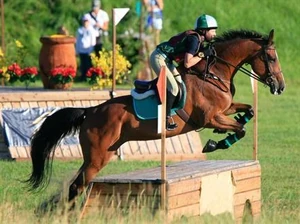 London-olympics-2012-eventing-at-greenwich.441x330