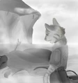 ALNM Chapter 11.png