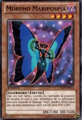 MorphoButterspy-GAOV-SP-C-1E
