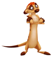 Timon