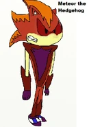 MeteorTheHedgehog
