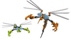 Finalised nuirama