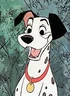 Pongo!