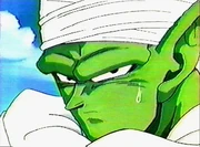 Piccolo face