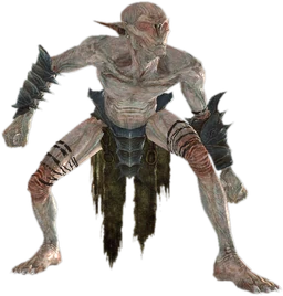 FalmerSkulker