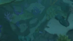 NayoliLagoon