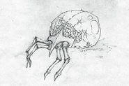 Bn2VT