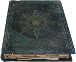 ShalidorsInsightsBook