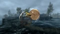 TESV Bee In A Jar Marks.png