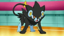 EP648 luxray de lectro