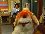 BarkleyInOut1