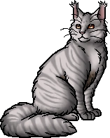 Tawnyspots.warrior.png