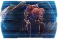 Shyrack TOR Codex