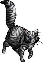 Shiningheart.queen