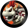 MHWii DryBowser icon