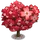 Red Dogwood Tree-icon