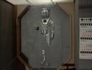 Cyber door
