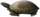 HO SecLPond Turtle-icon