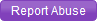Report