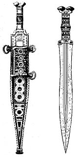 Gladius hispaniensis