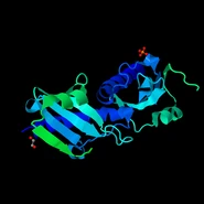 4EBG.pdb1