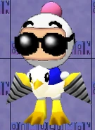 Sunglasses