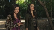 PLL111-1028